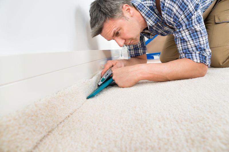 Professional Carpet Restoration